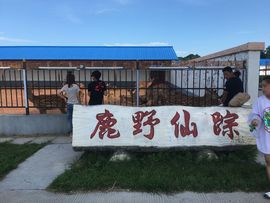 妃宝儿求升一钻主播照片
