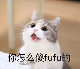 转身✔陌路主播照片
