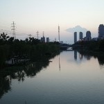 熊大叔？