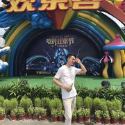 陈奋勇1号海报