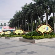 ～随心