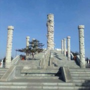 陈哲z