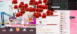再见了12主播照片