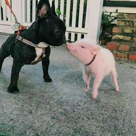 看清了，就看轻了。主播照片