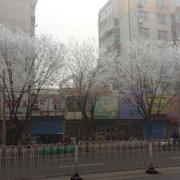西粒糊涂