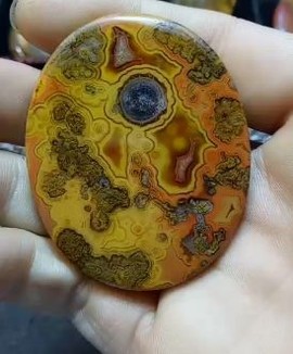╰╰╮东方红╭╯╯主播照片