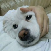 邹润