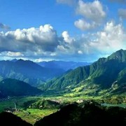 lman忠诚，来