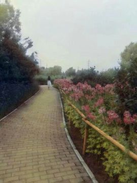 ╰⋛⊱⋋葵晞⋌⊰⋚╯主播照片