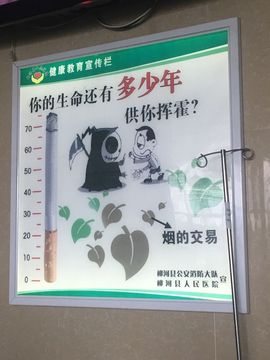 明日的太阳🌞主播照片