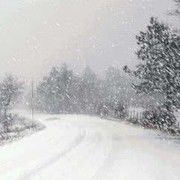 望窗外，雪再飘海报