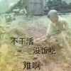 长龙da