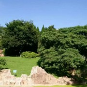 太阳jkw