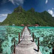 柠檬我不萌