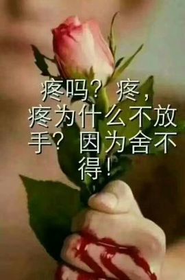 ♬默默✨小蛮宝☞🌜主播照片