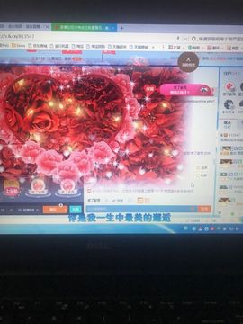 丹从心开始求老板主播照片