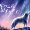 情永恒r