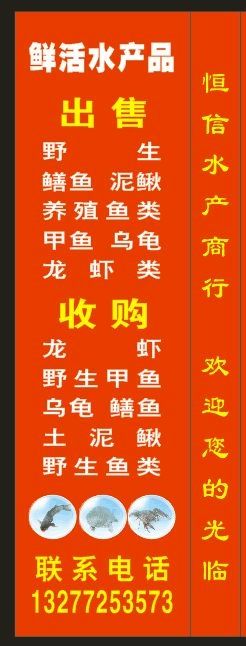 ☀与狼共舞☀主播照片