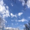 苏夏0海报