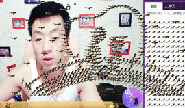 孤狼【独行】主播照片