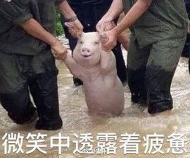 安静的美男子~~主播照片