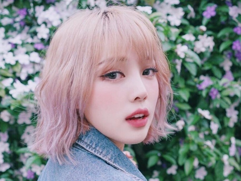 梧桐🌹的主播海报