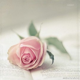 谢谢你来过～～～主播照片