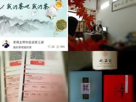 茶吧吧主主播照片