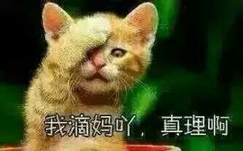 乖“我们的回忆，😘主播照片