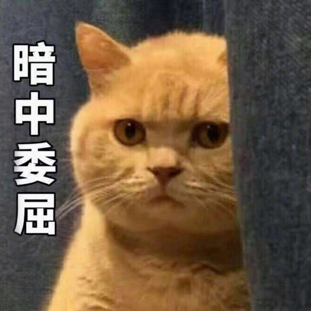 @休息中的主播照片