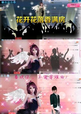 海鸽晚上播主播照片