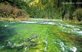 淡水浪主播照片