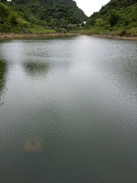 168888大叔主播照片