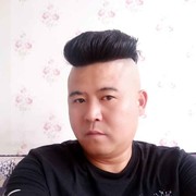 湖北四通物流有限公司的头像