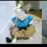幸福丨欣欣