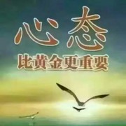 桥桥十