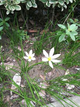 那年，花开花又落主播照片