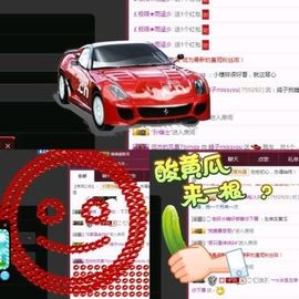 海鸽晚上播主播照片