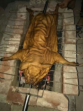 168888大叔主播照片