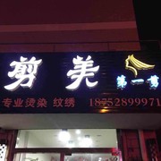 剪美造型187528