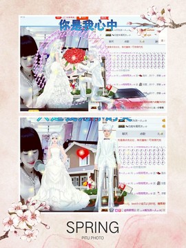 ♬。。。。♬主播照片