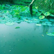 飞云k*海报