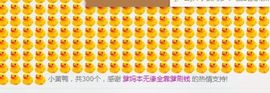 一只喵啊啊啊主播照片