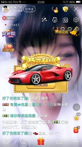 一只雁~主播照片