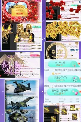 海鸽晚上播主播照片