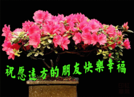 passie东东主播照片