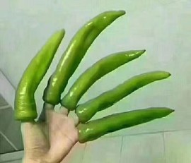 兔小宝爷主播照片