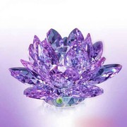 眼光下悠闲的紫水晶