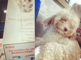 小吃货酱主播照片