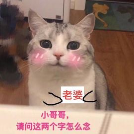 杨大美人从心开始主播照片